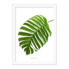 Think Us 北歐風畫框 15龜背芋A, 白色