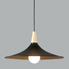 DAYSTAR HOUSE 素色吊燈, 黑色