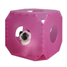 貓咪立方體隧道 CCB-410, 2件, 粉色的