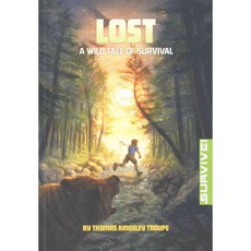 Lost Stone Arch Books