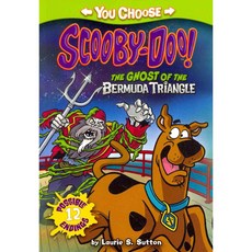 The Ghost of the Bermuda Triangle Stone Arch Books