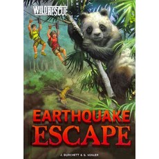 Earthquake Escape Stone Arch Books