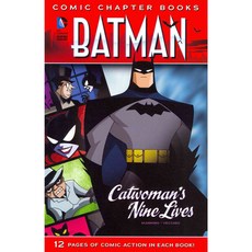 Catwoman's Nine Lives Stone Arch Books