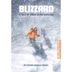 Blizzard Stone Arch Books