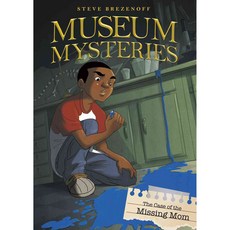 The Case of the Missing Mom Stone Arch Books