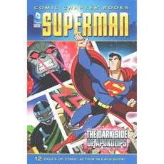 The Dark Side of Apokolips Stone Arch Books