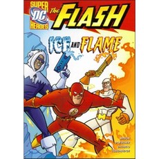 Ice and Flame Stone Arch Books