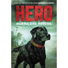 Hurricane Rescue Harpercollins Childrens Books