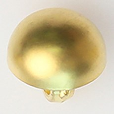 HR大鈕扣 Yaren 鈕扣 NO11 11mm, 單一顏色, 12入