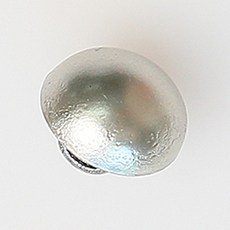 HR大鈕扣 Bissau NO6 鈕扣 11mm, 單一顏色, 8個