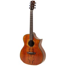 헥스 허니 어쿠스틱 기타 FX260C, Glossy, 1개