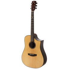 헥스 호넷 어쿠스틱 기타 D450CE, Glossy, 1개