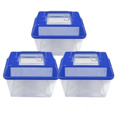 Daeil 採集箱 特大, 3個