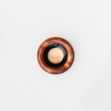 HR大鈕扣 玫瑰金鈕扣 NO3 13mm, 混合顏色, 12個