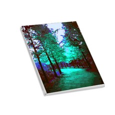 Hello Painting DIY繪畫組 秋季系列 3入 隨機出貨, 混色