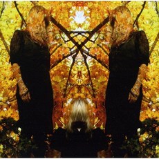 AUSTRA - FEEL IT BREAK 英國進口類, 2CD