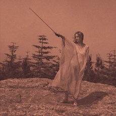 UNKNOWN MORTAL ORCHESTRA - II (DIGIPACK) 미국수입반, 1CD