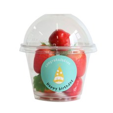 에이치씨엔 투명머핀컵 소 돔뚜껑 50p + 스티커 고깔원형 민트 25p + 레드 25p, 1세트