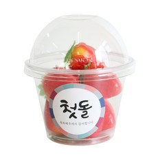 에이치씨엔 투명머핀컵 소 돔뚜껑 50p + 스티커 첫돌 전통 50p, 1세트