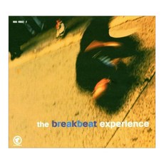 Various Artists - The Nreakbeat Experience EU수입반, 1CD