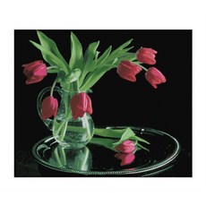 zkf十字繡DIY套組套組鬱金香花瓶ZKF434, 混色, 1套