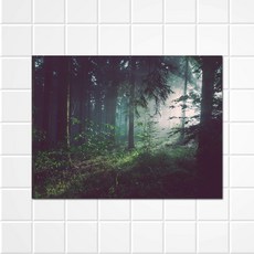 써머스트 강화유리 주방 아트보드 숲속새벽, 1개