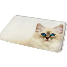 Sweet Living 夢想貓 廚房地墊 40x60cm, 透明, 1個