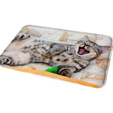 Sweet Living 快樂貓咪 廚房地墊 40x60cm, 瞌睡貓, 1個