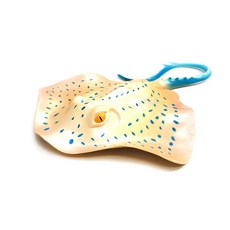 螢火蟲軟動物黃貂魚圖, 1個