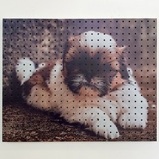 室內裝飾洞洞板 小狗狗AA 白色, 1個