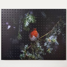 室內裝飾洞洞板 Baby Bird AA 白色, 1個