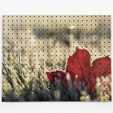 室內裝潢洞洞板 落葉AAAA 白色, 1個