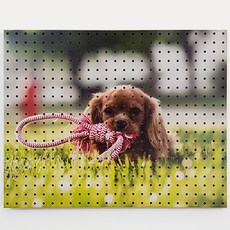 室內裝飾洞洞板 Happy Puppy A 白色, 1個