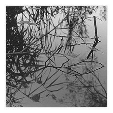 Antony & The Johnsons - Swanlights 英國進口集團, 1CD