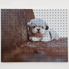 ANVY COMMERCE 居家裝飾洞洞板 睜開眼款 白色, 1個