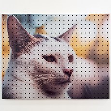 AnB Commerce 室內裝飾洞洞板 貓咪BBB 白色, 1個