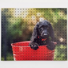 NB Commerce 室內裝飾洞洞板 紅色小狗A 500x400mm, 1個, 混色