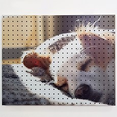 NB Commerce 家居裝飾洞洞板 睡覺小狗 白色, 1個