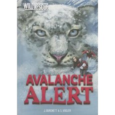 Avalanche Alert Hardcover, Stone Arch Books