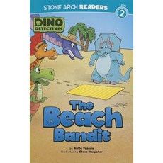 The Beach Bandit Paperback, Stone Arch Books