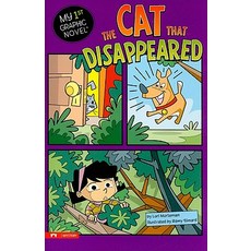The Cat That Disappeared Paperback, Stone Arch Books