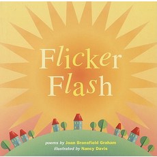 Flicker Flash Paperback, Houghton Mifflin
