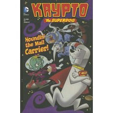 Houndin' the Mail Carrier! Library Binding, Stone Arch Books