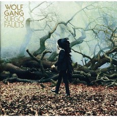 WOLF GANG - SUEGO FAULTS 유럽수입반, 1CD