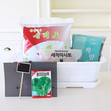 모리앤 베란다 가드닝 텃밭가꾸기 화이트 세트, 상추(랜덤 발송)