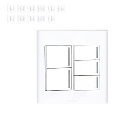 winners 2 位的 5 孔開關, 12件