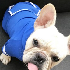 狗狗寵物高品質連帽T恤, 藍色, 1個