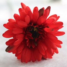 Block Mart假花非洲菊菊花 5入, 紅色的