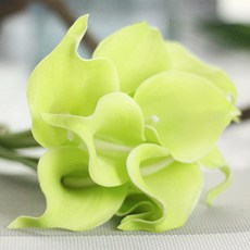 積木超市 馬蹄蓮人造花 6支組, 綠色