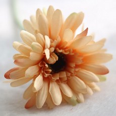 블럭마트 조화 거베라 국화꽃, 연베이지, 5개